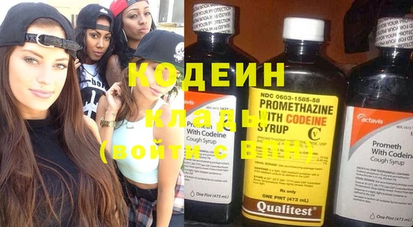 МДПВ Инсар