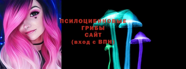 МДПВ Инсар