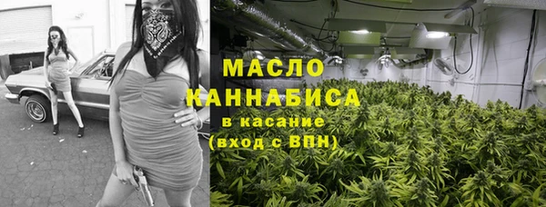 МДПВ Инсар