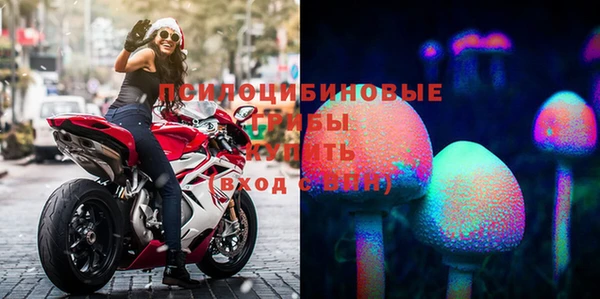2c-b Зерноград
