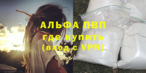 МДПВ Инсар