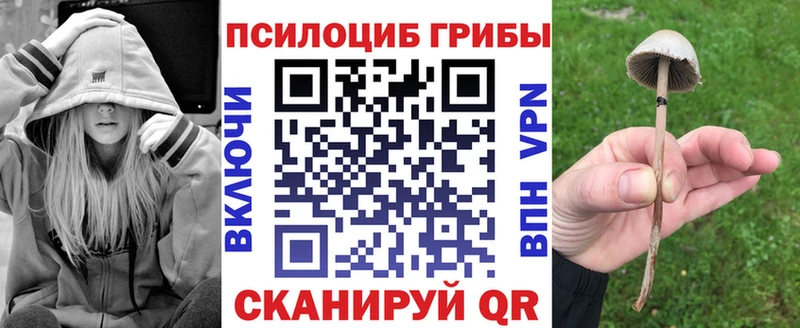 Галлюциногенные грибы MAGIC MUSHROOMS  Купить закладки  Петров Вал 